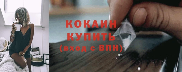 стафф Богданович